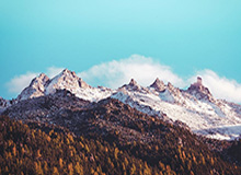 开云：云端的启程，企业数字化的新引擎